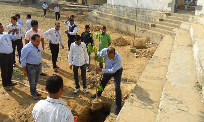 plantation-in-school-01