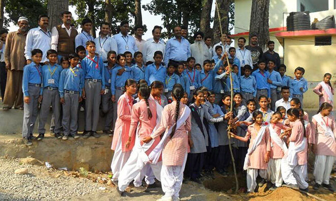 plantation-in-school-02
